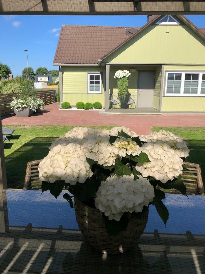 Viigi Villa ฮัปซาลู ภายนอก รูปภาพ